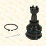 سیبک طبق جیلی GC6