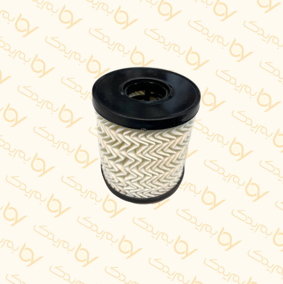 فیلتر روغن جیلی امگرند سواری یورو5