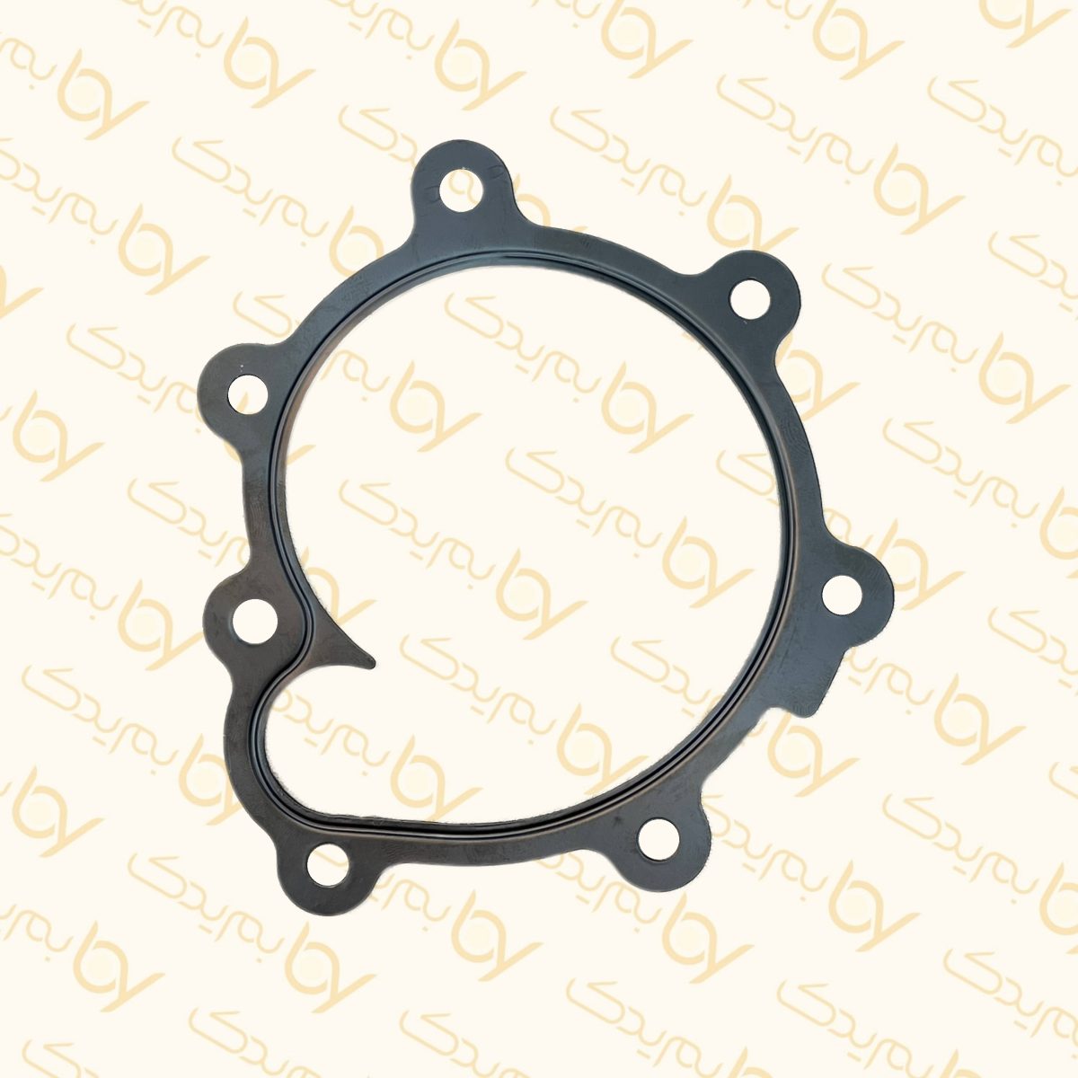 واشر واتر پمپ جیلی GC6